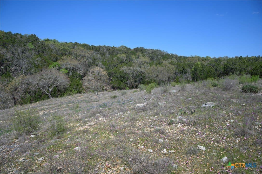 2.4 acres in Comal County - photo 31
