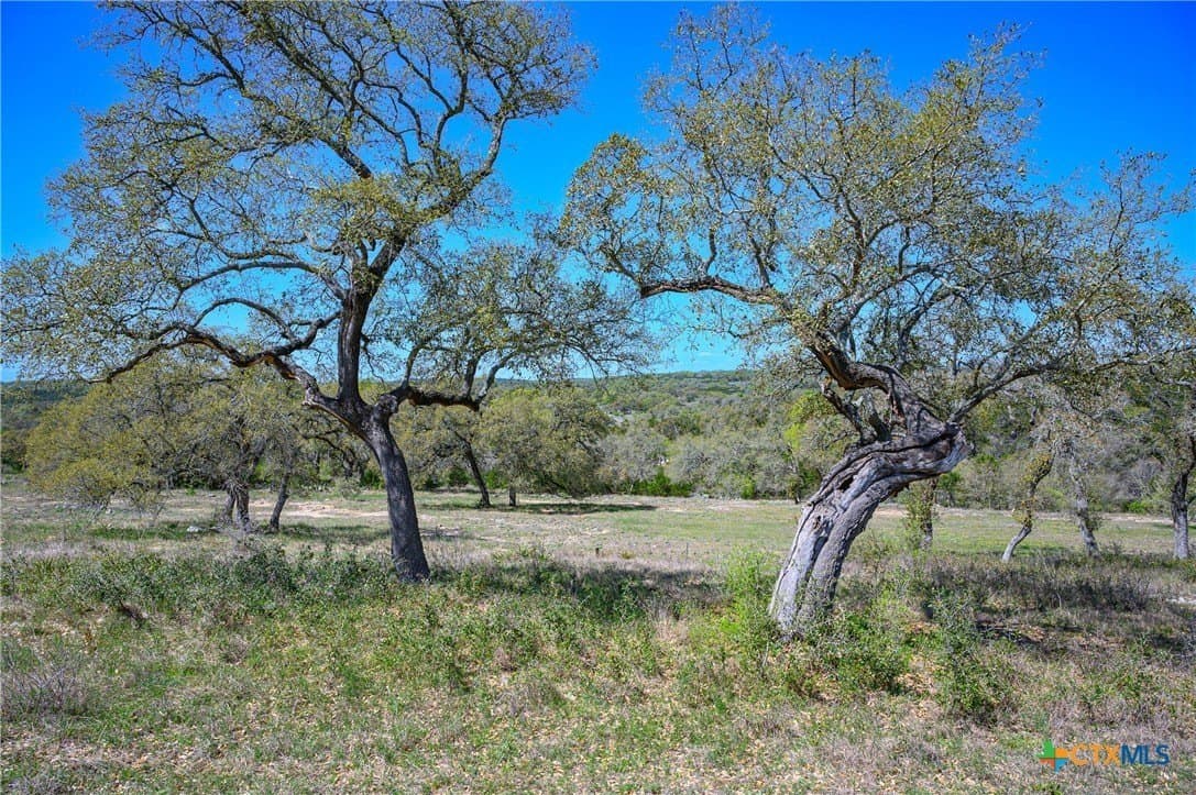 2.4 acres in Comal County - photo 22