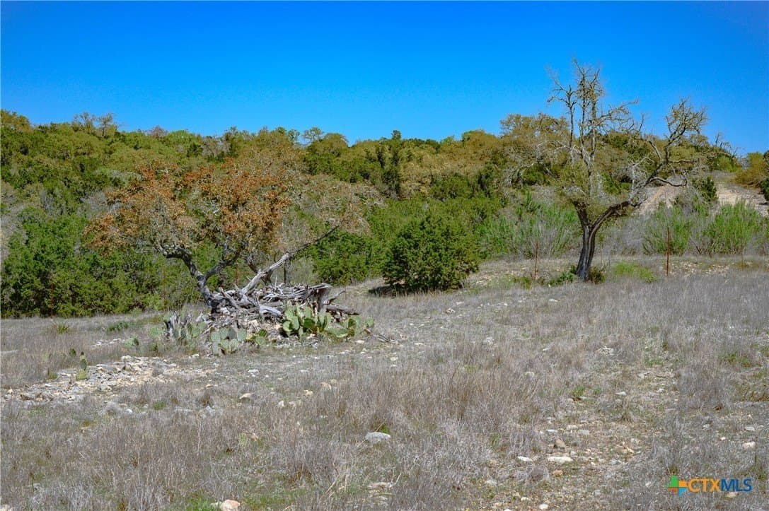 2.4 acres in Comal County - photo 28
