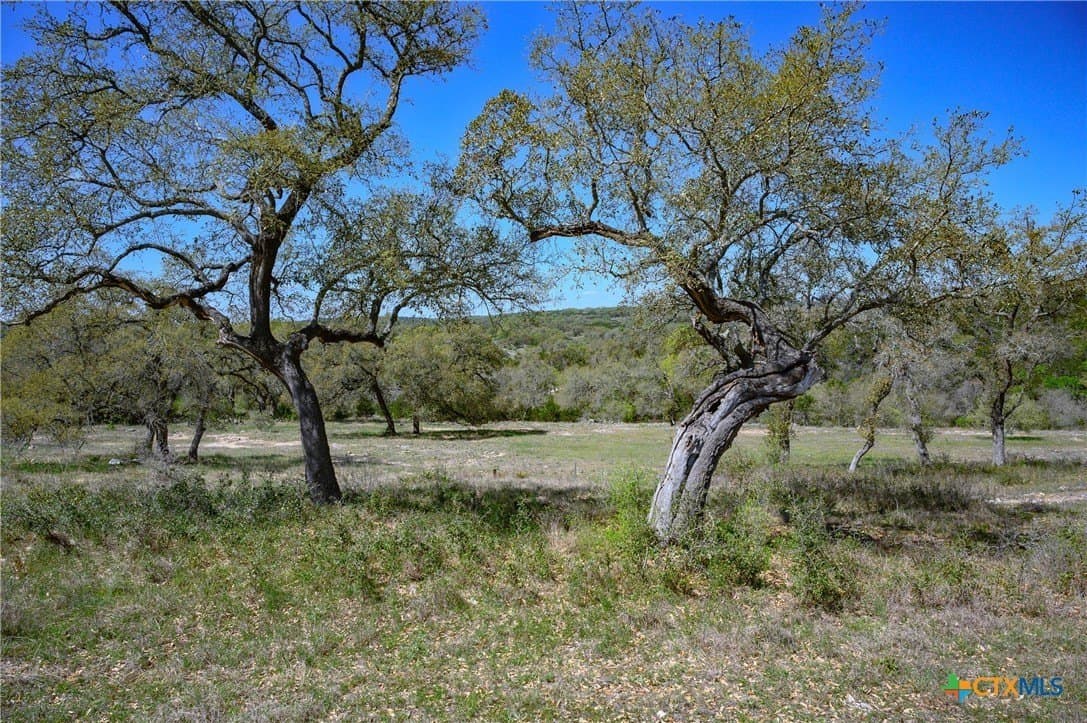 2.4 acres in Comal County - photo 23