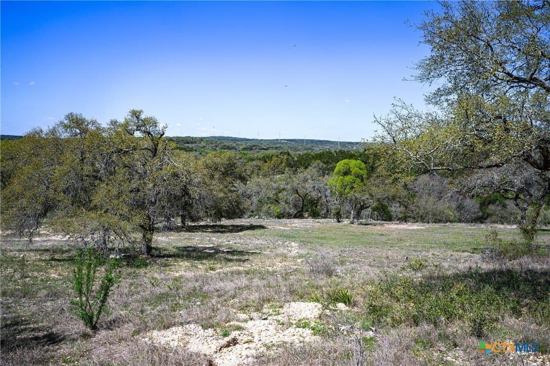 2.4 acres in Comal County - photo 21