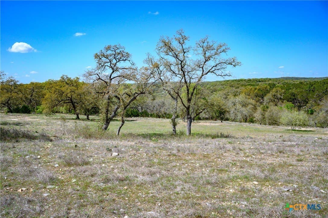 2.4 acres in Comal County - photo 25