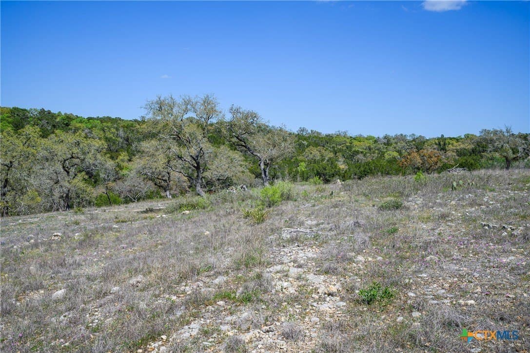 2.4 acres in Comal County - photo 32