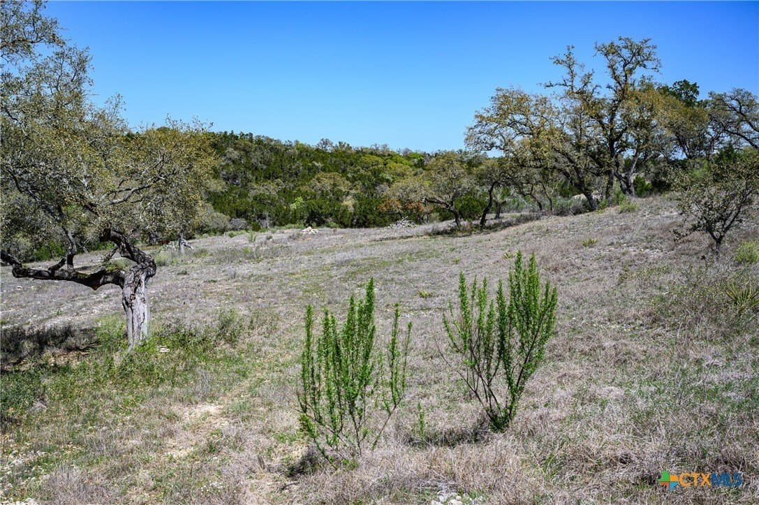 2.4 acres in Comal County - photo 20