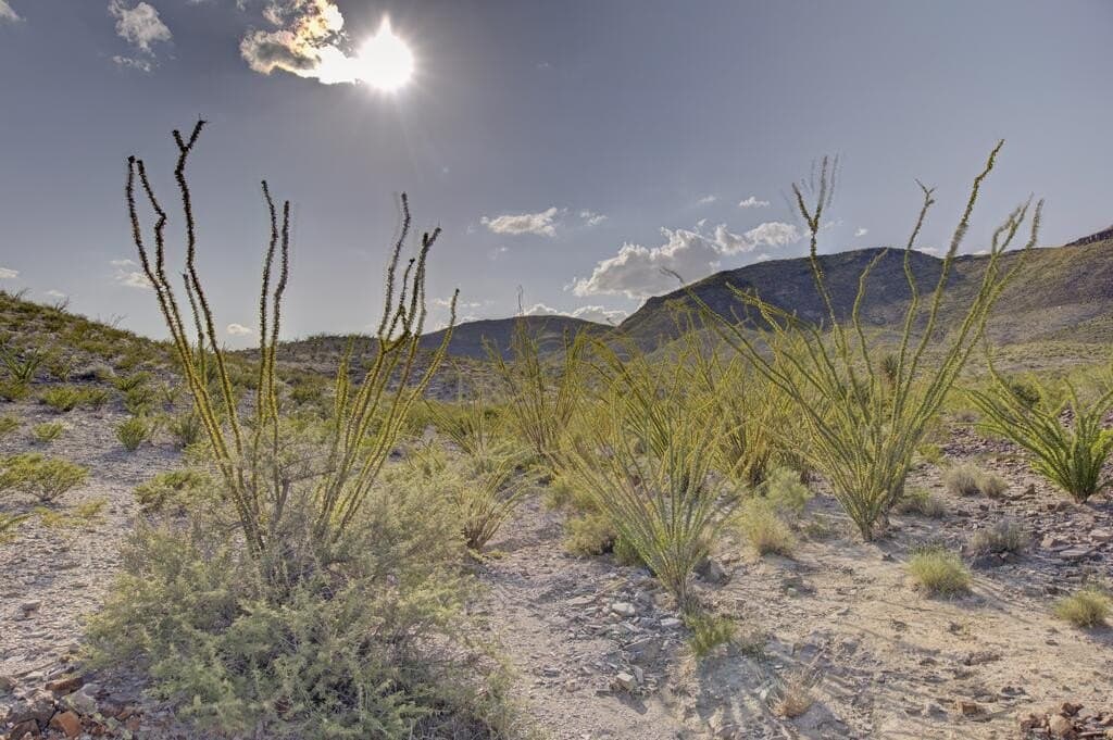 152.22 acres in Brewster County - photo 2
