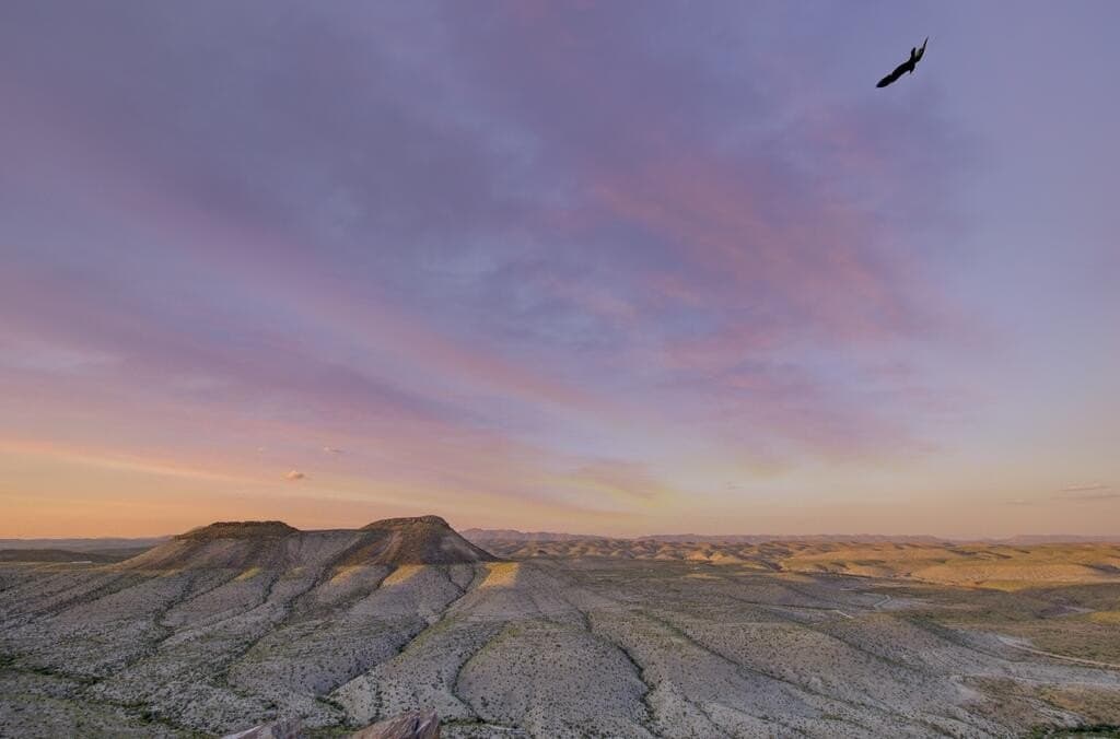 152.22 acres in Brewster County - photo 22