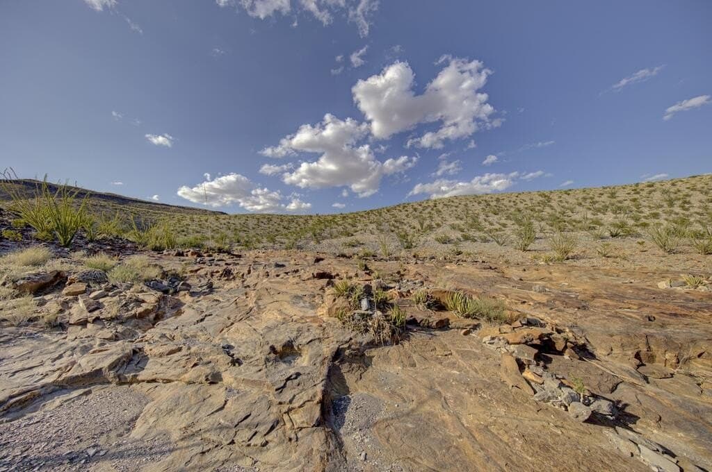 152.22 acres in Brewster County - photo 5