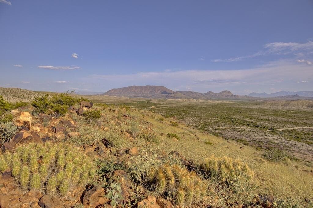 152.22 acres in Brewster County - photo 12