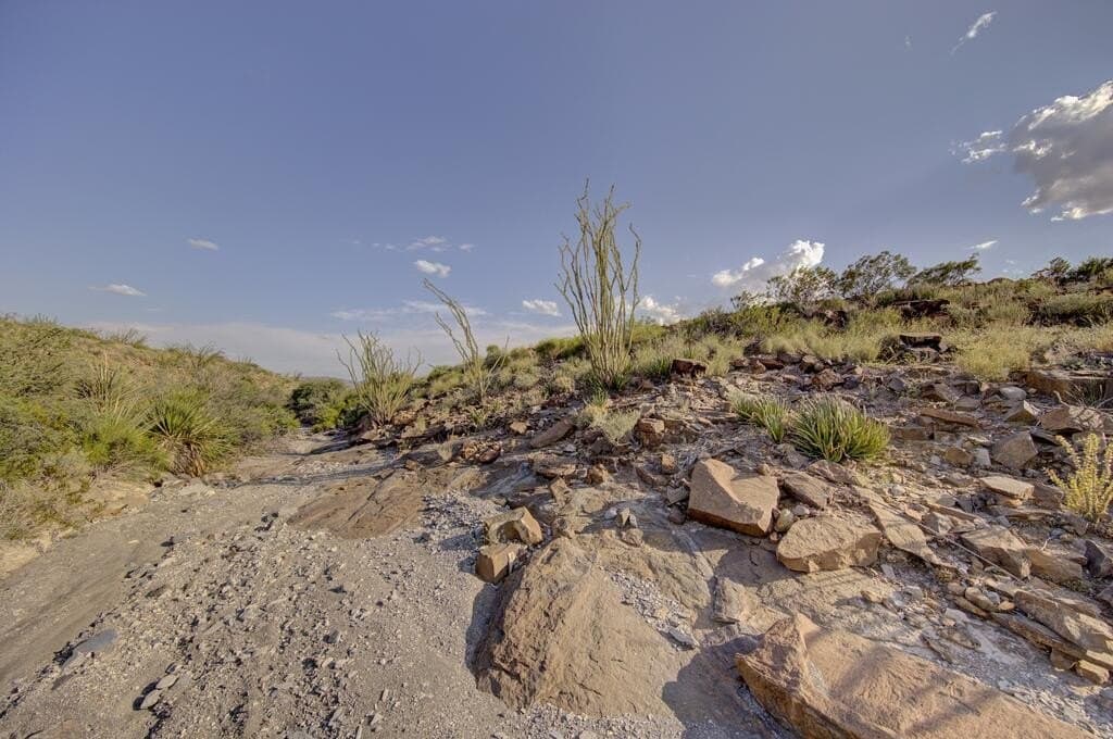 152.22 acres in Brewster County - photo 6