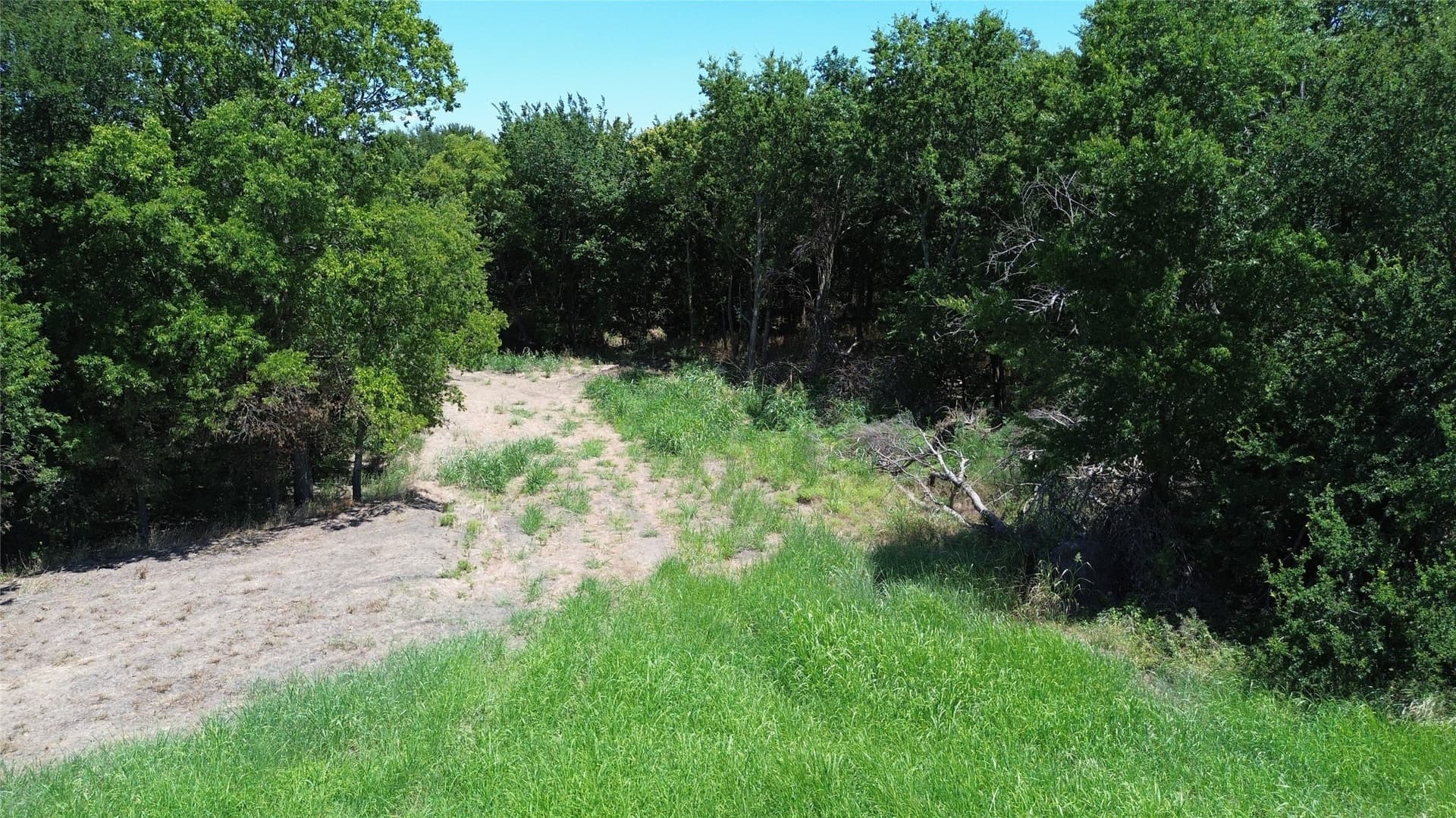 73 acres in Delta County - photo 3