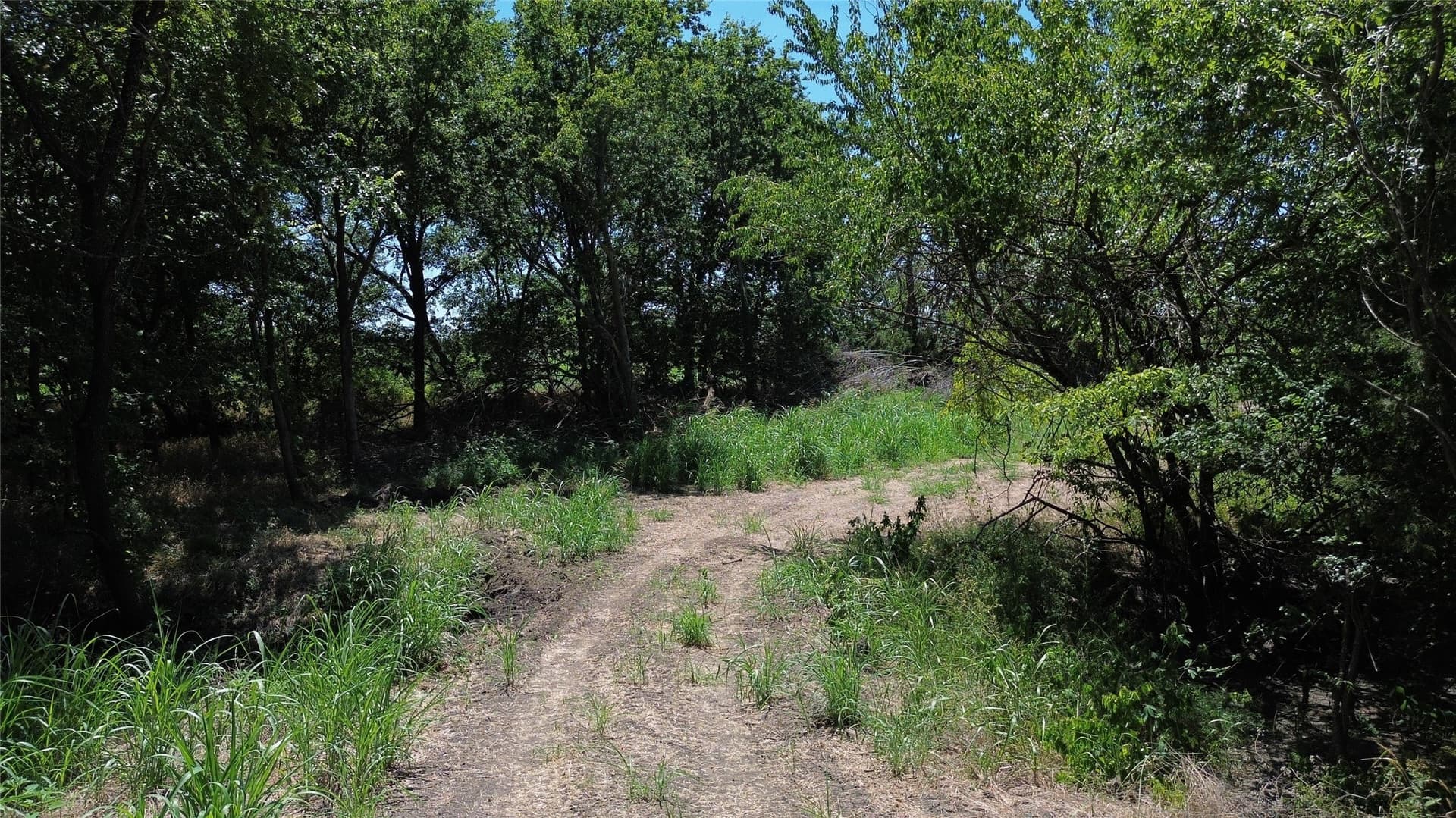 73 acres in Delta County - photo 12