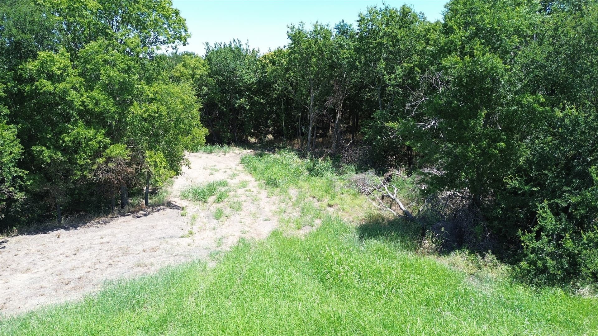 73 acres in Delta County - photo 6