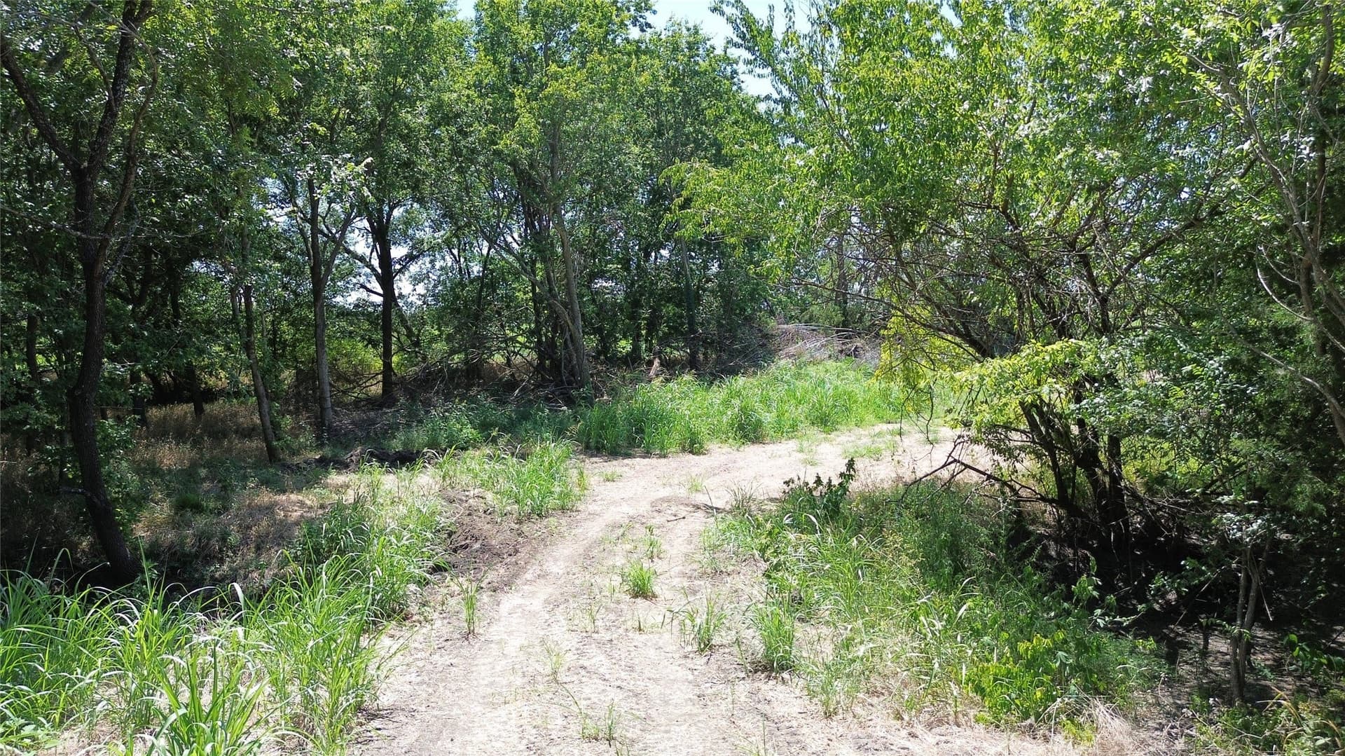 73 acres in Delta County - photo 10