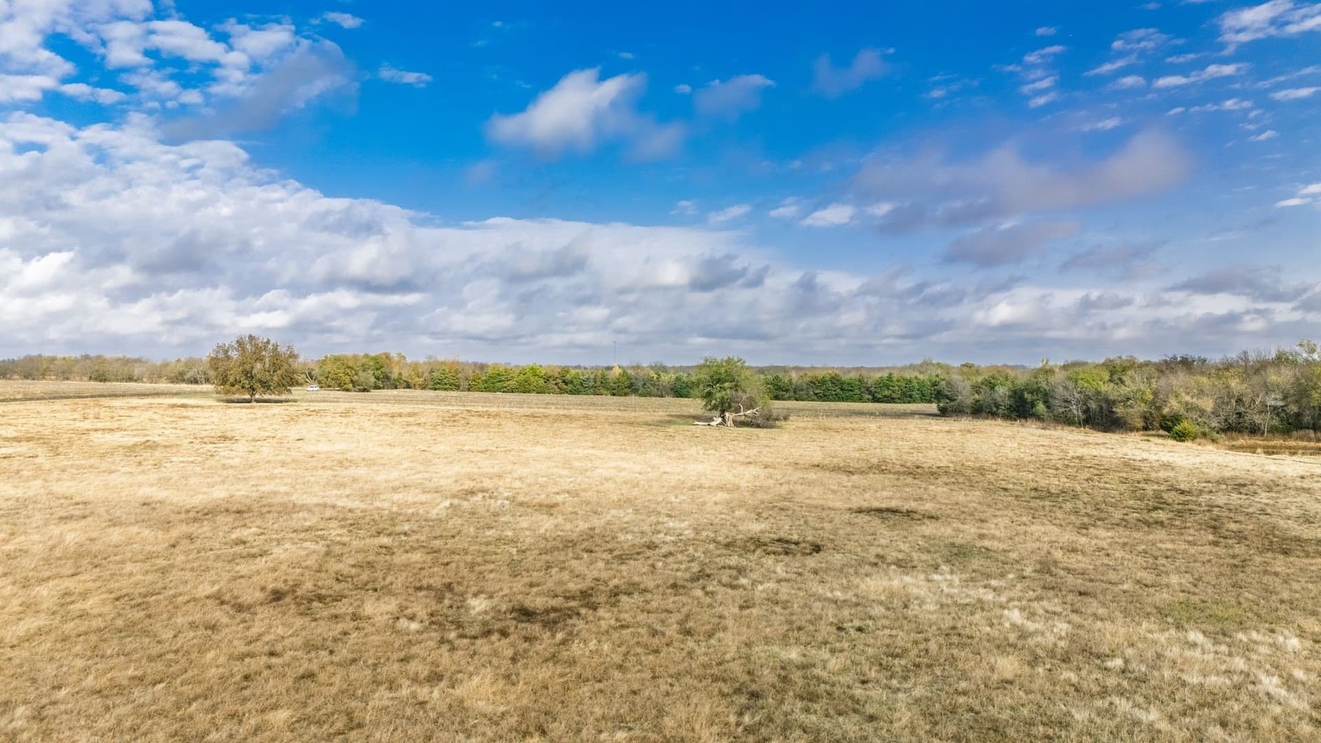73 acres in Delta County gallery image 4