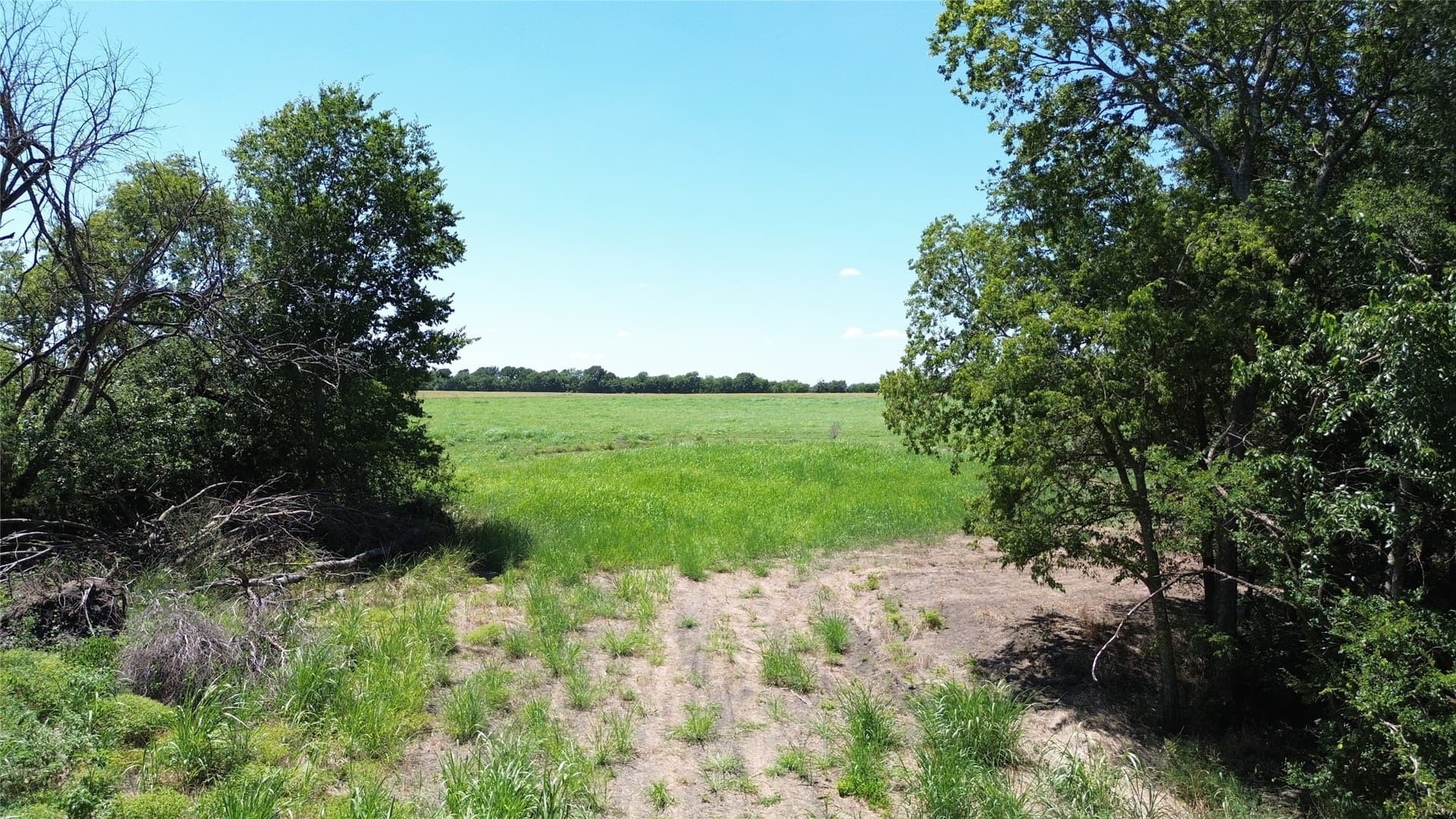 73 acres in Delta County - photo 5