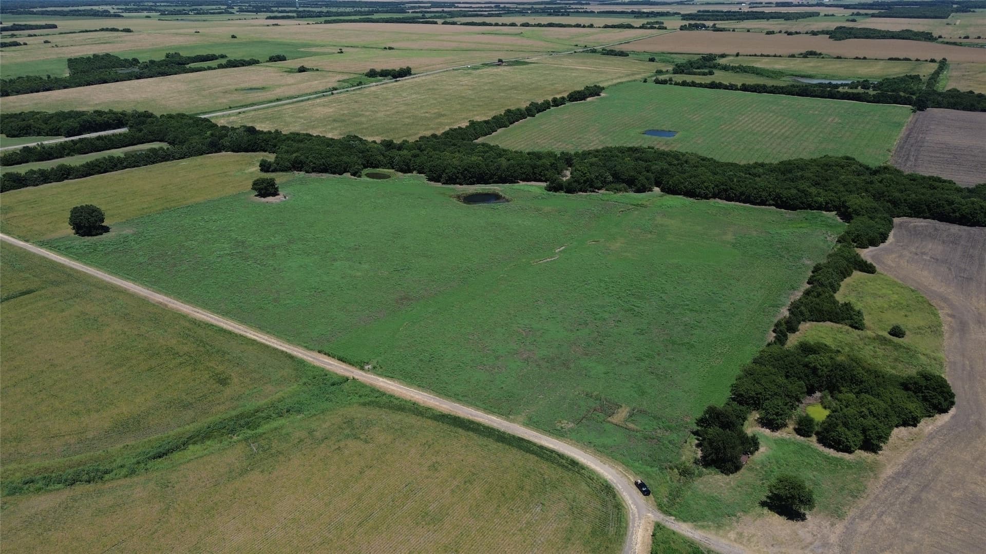 73 acres in Delta County - photo 8