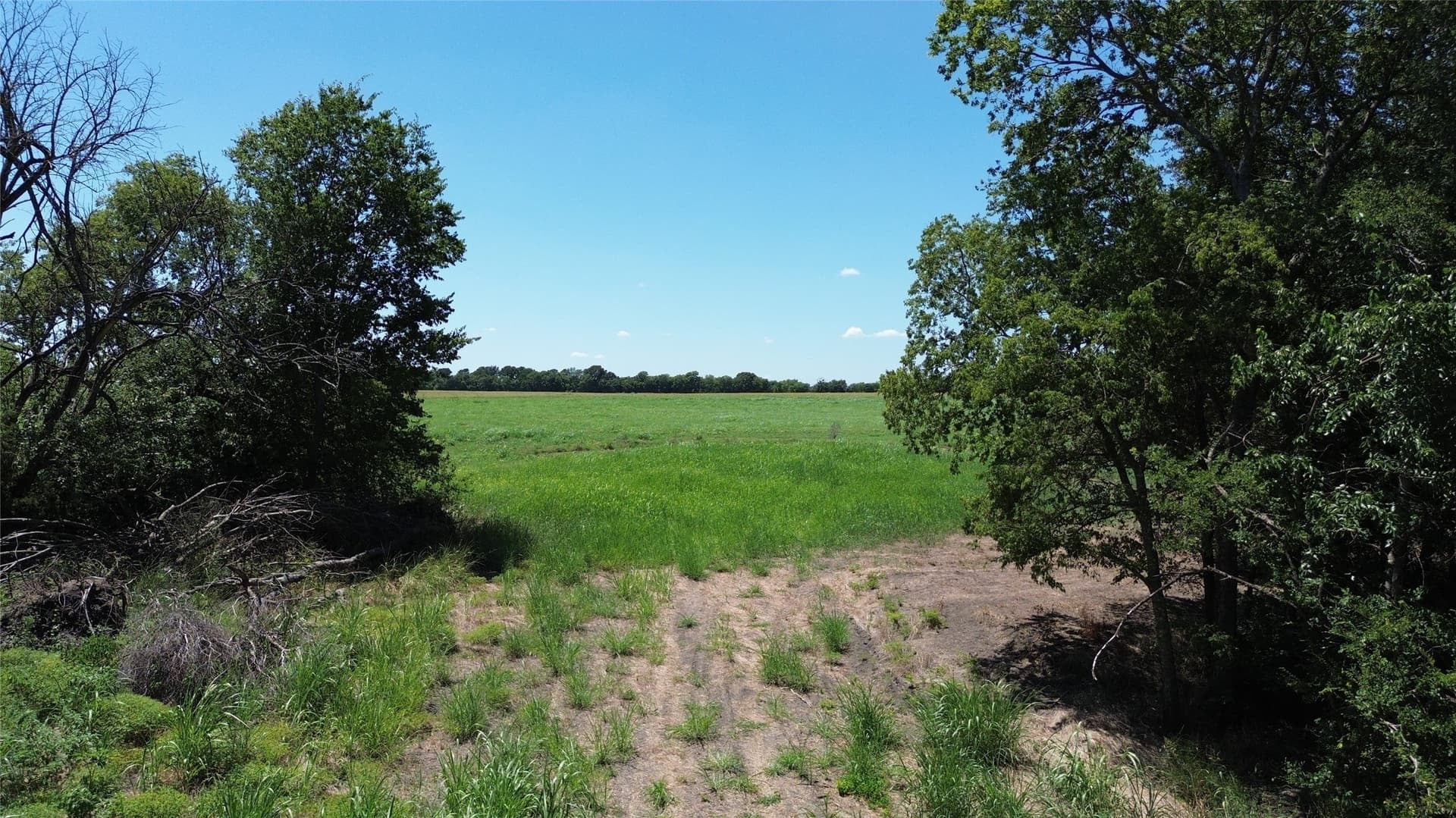 73 acres in Delta County - photo 4