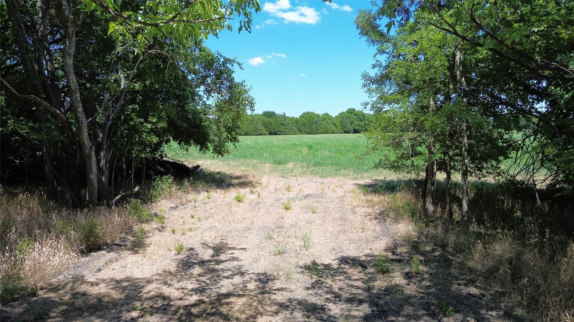 73 acres in Delta County - photo 7
