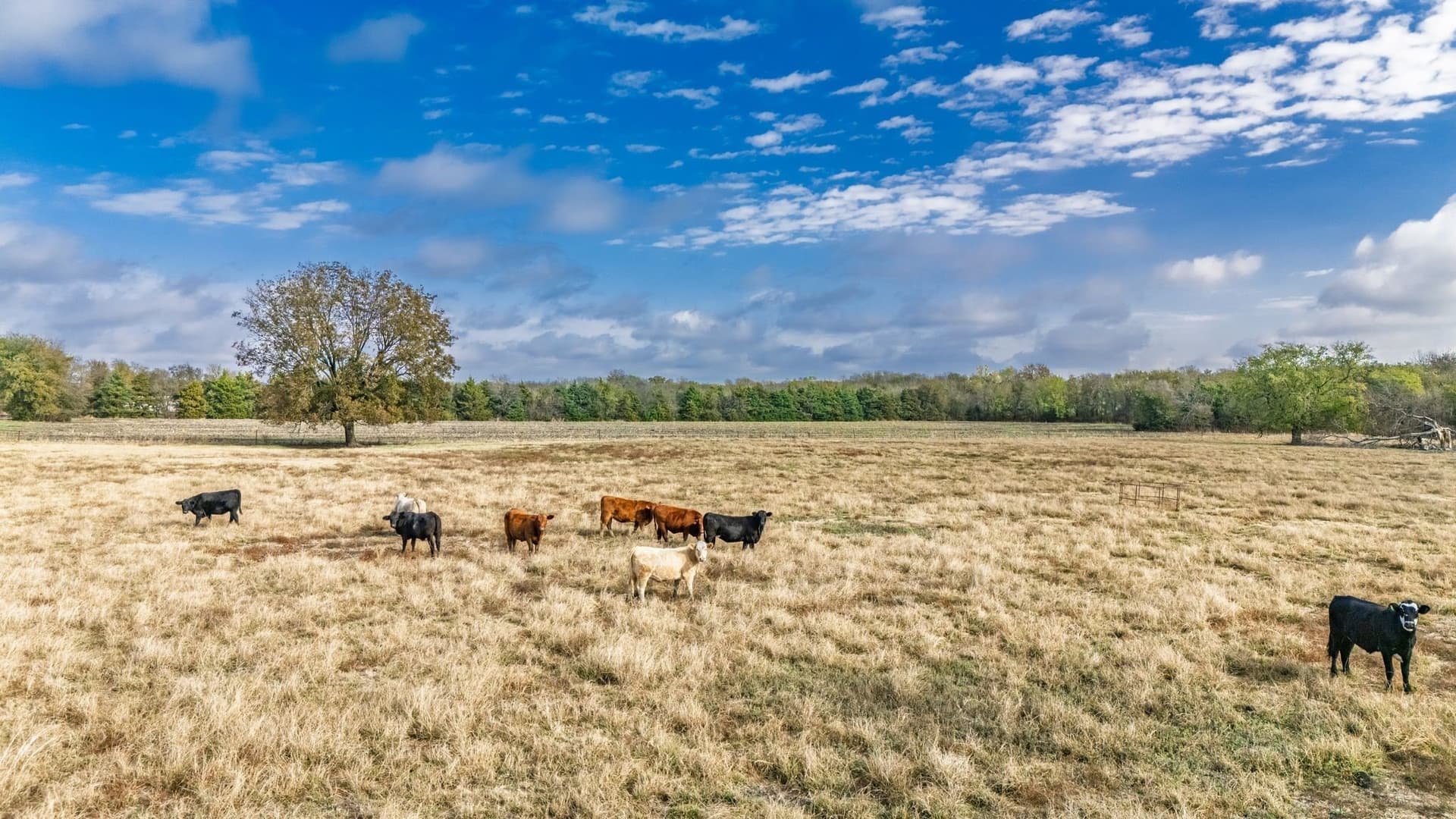 73 acres in Delta County gallery image 2