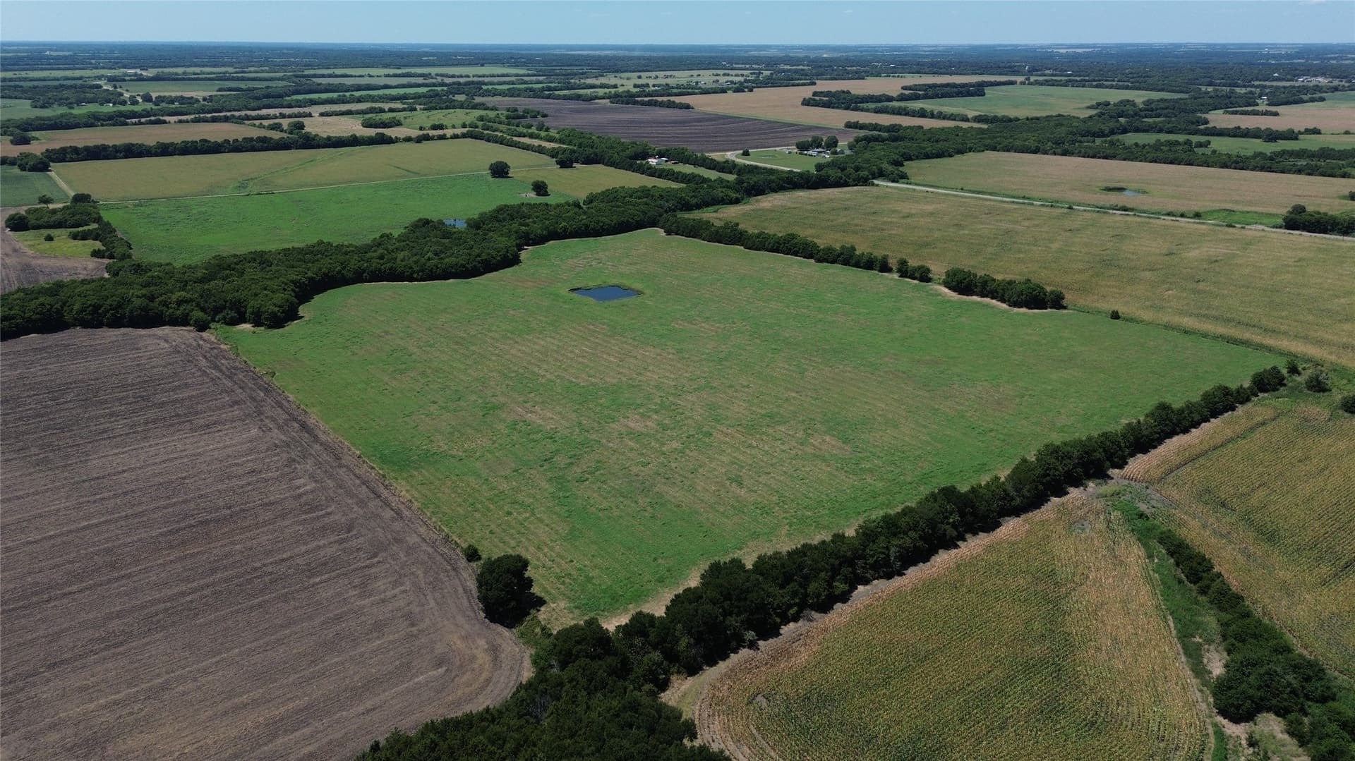 73 acres in Delta County - photo 11