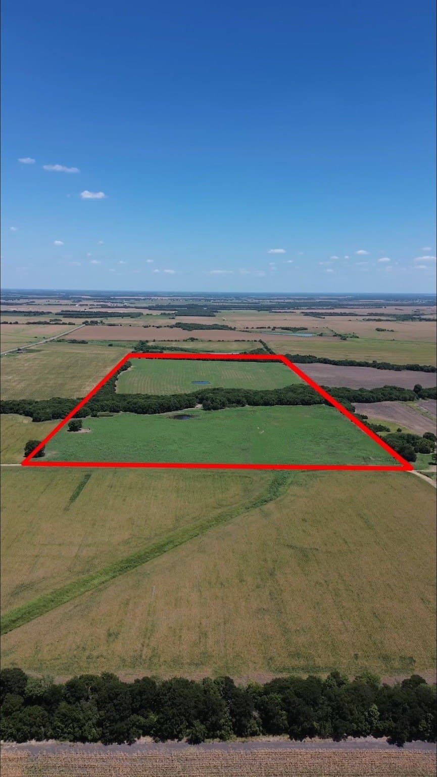 73 acres in Delta County - photo 17
