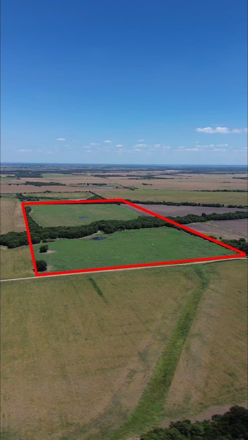 73 acres in Delta County - photo 18