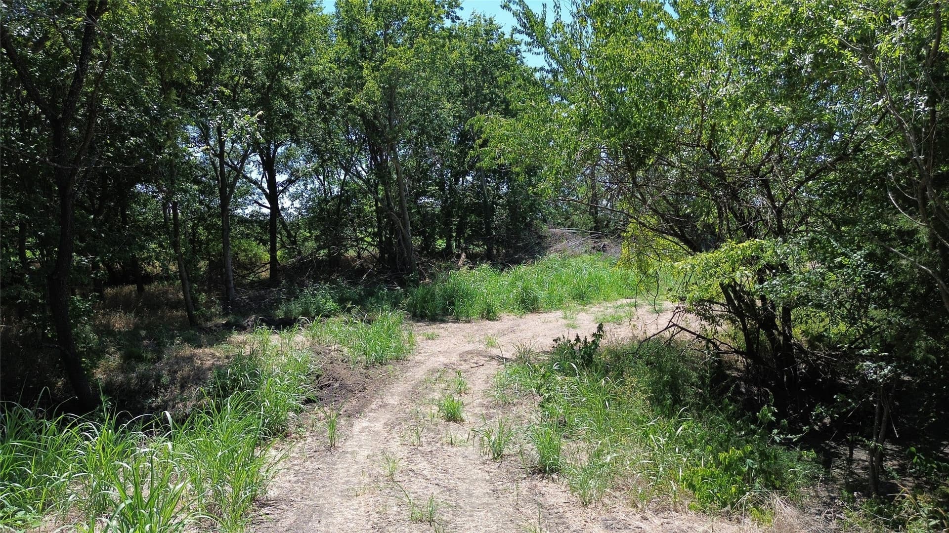 73 acres in Delta County - photo 9