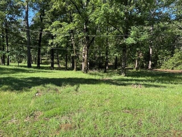 0.56 acres in Texas County gallery image 4