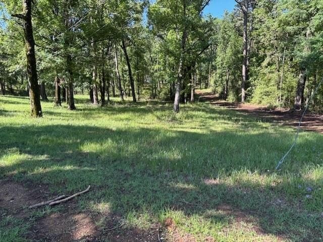 0.56 acres in Texas County gallery image 3