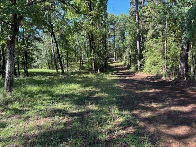 0.56 acres in Texas County gallery image 2