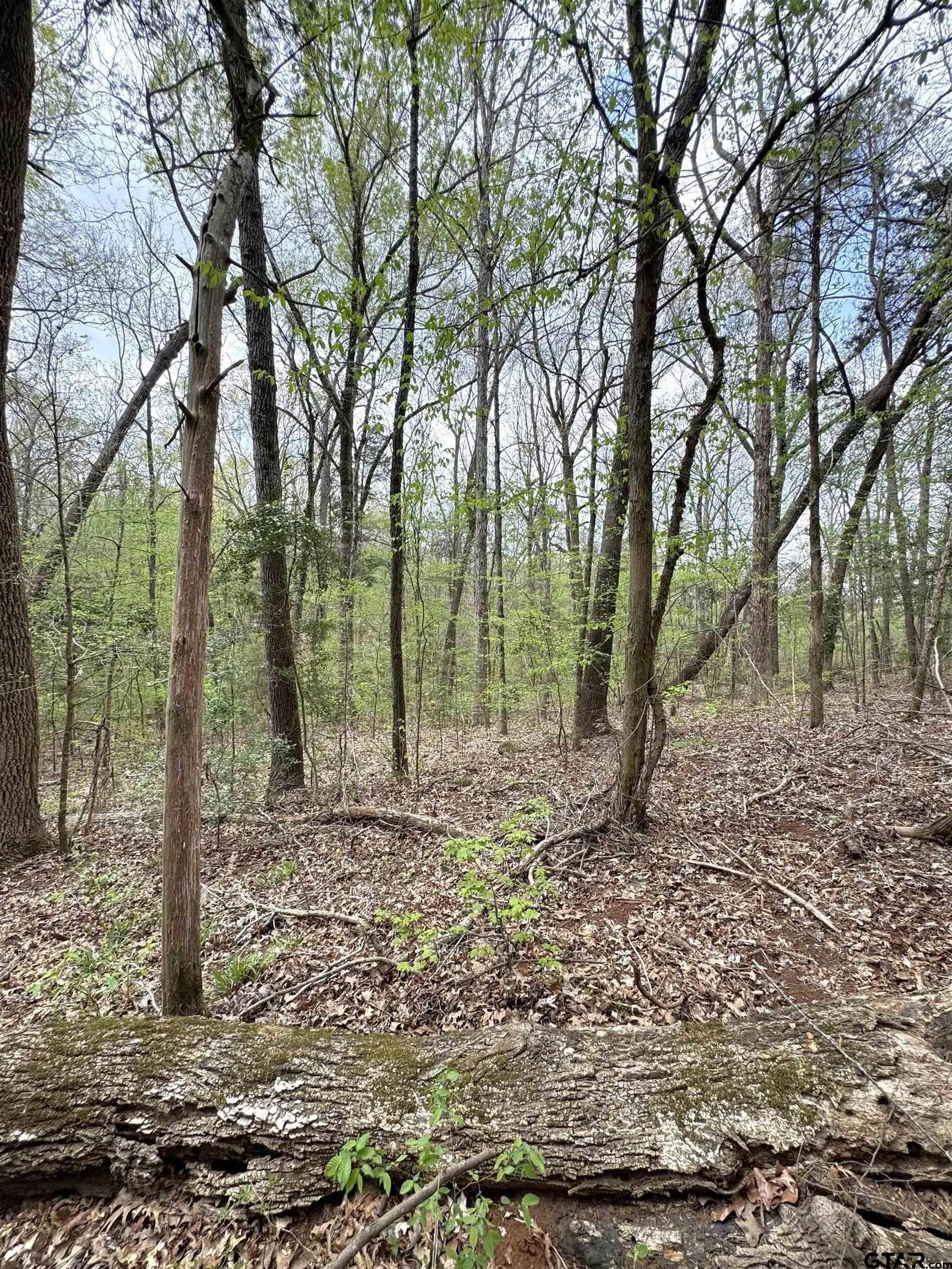 22.6 acres in Cherokee County - photo 9