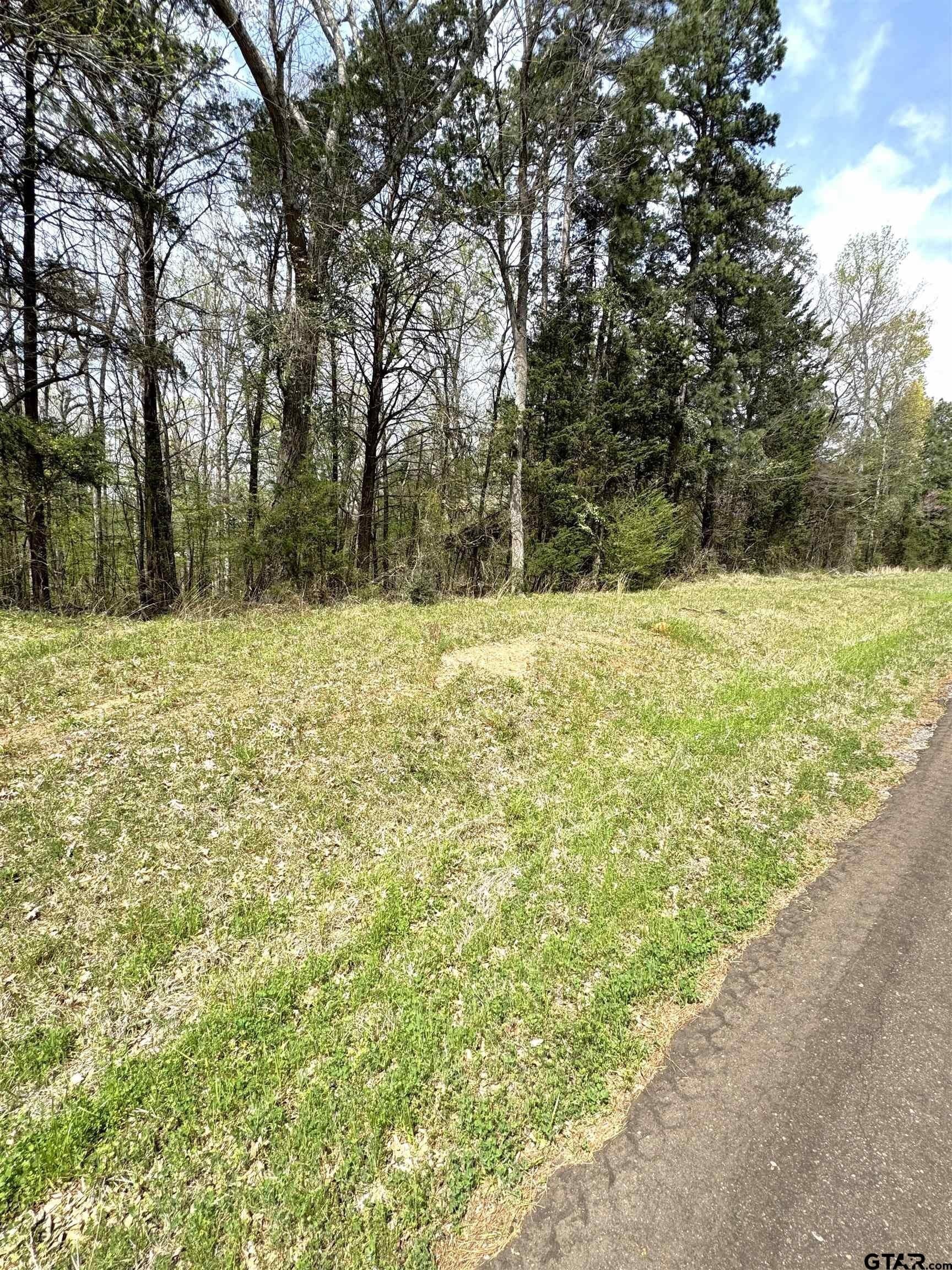 22.6 acres in Cherokee County - photo 10