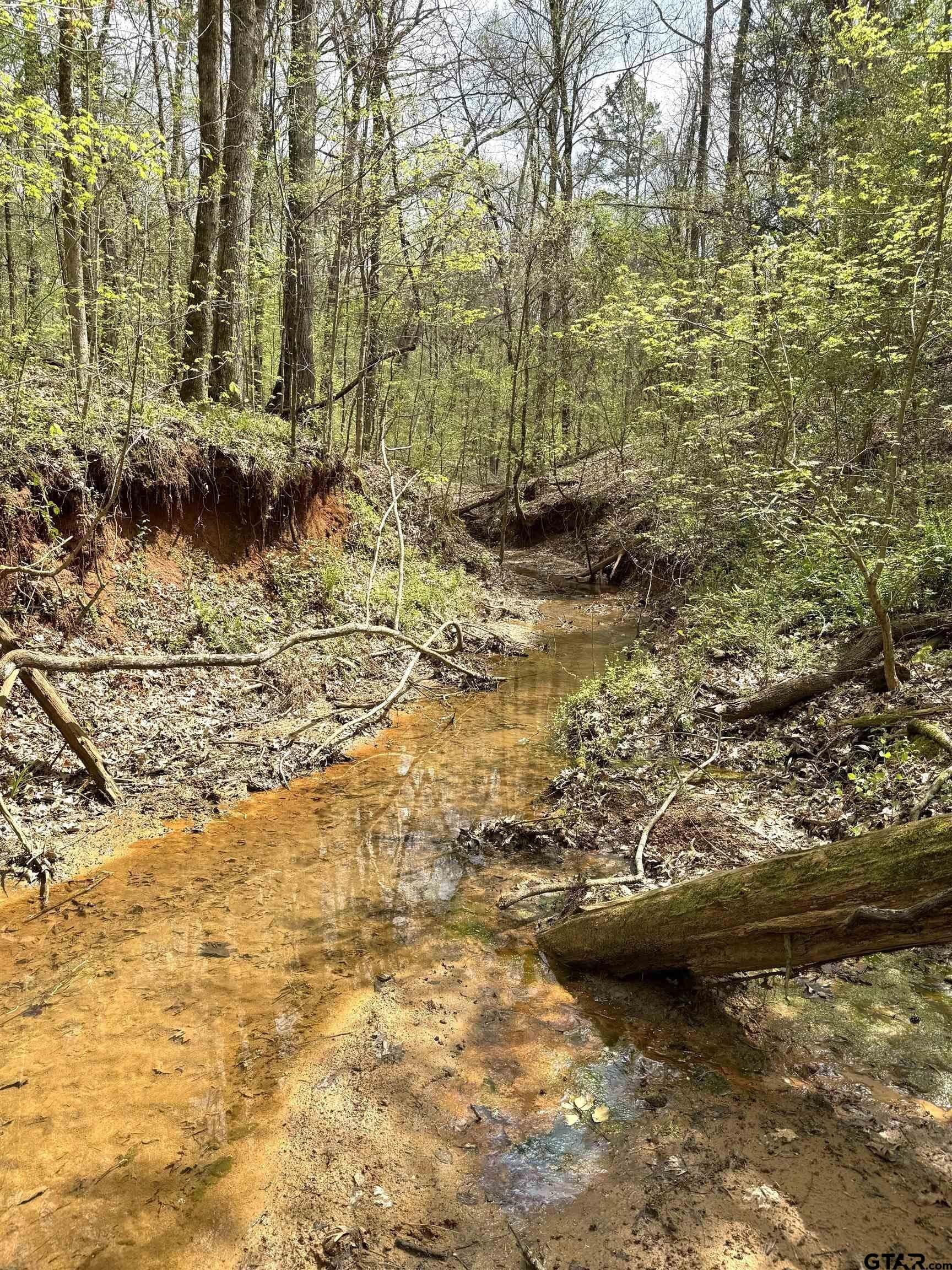 22.6 acres in Cherokee County - photo 8