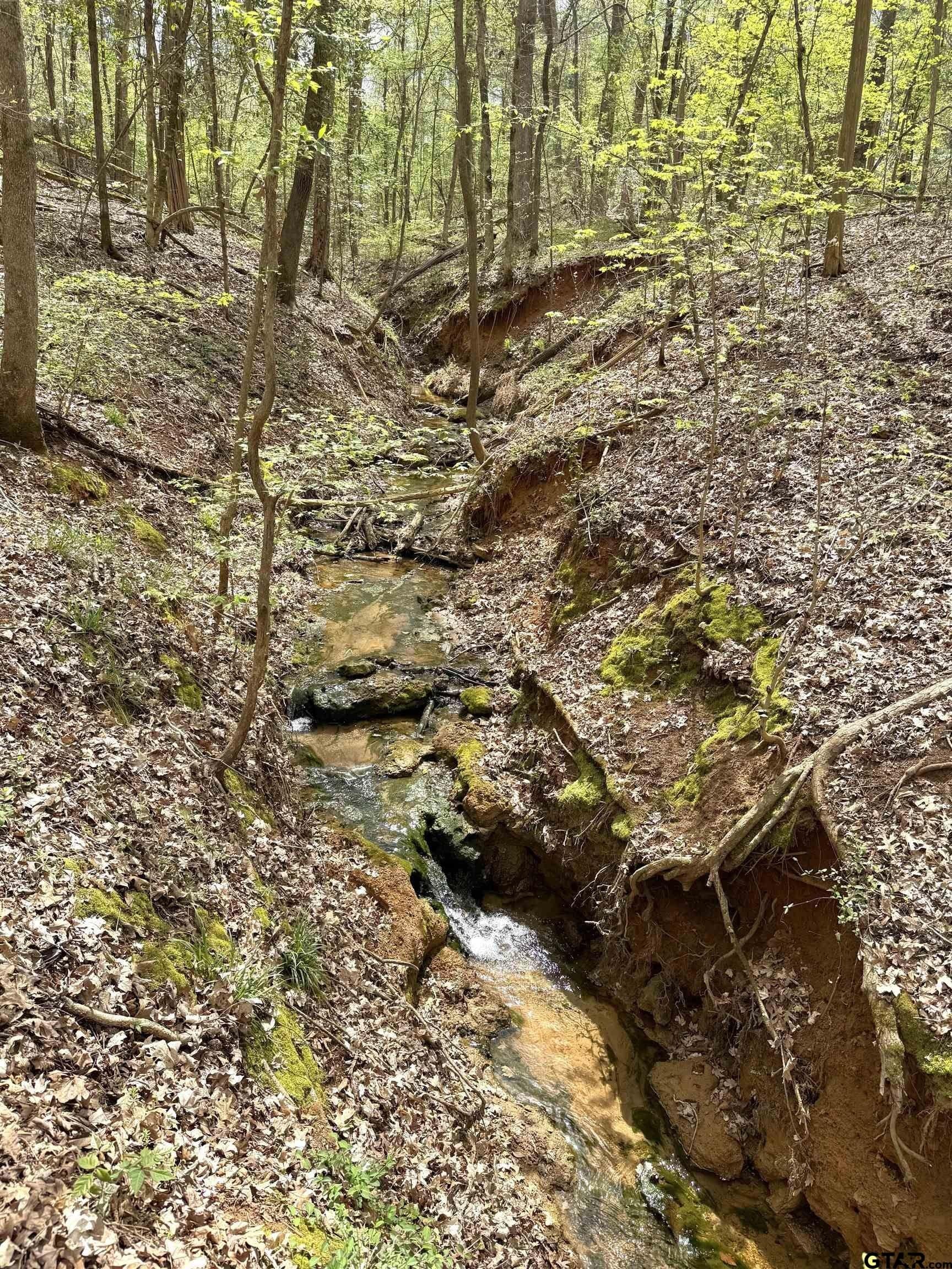 22.6 acres in Cherokee County - photo 6