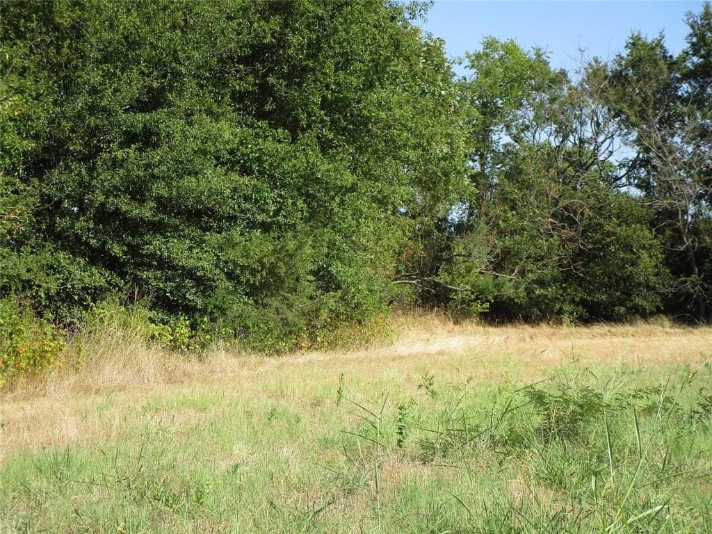 40 acres in Hunt County gallery image 4