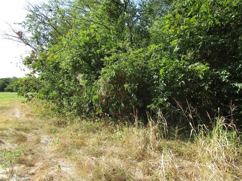 40 acres in Hunt County featured view