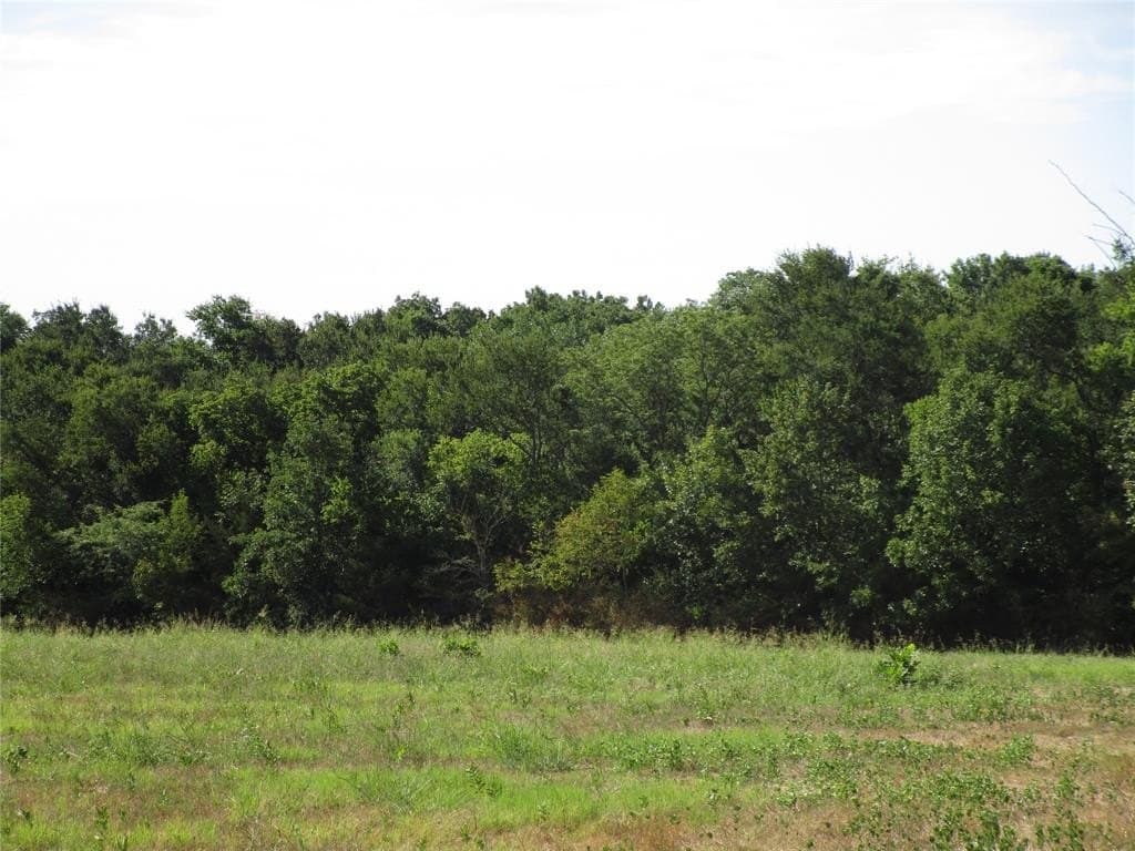 40 acres in Hunt County gallery image 2