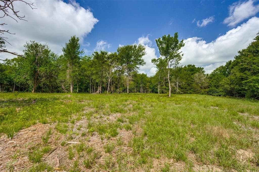 13.3 acres in Hunt County gallery image 4