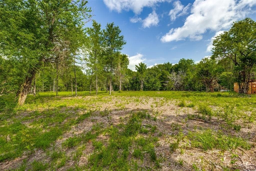 13.3 acres in Hunt County gallery image 3