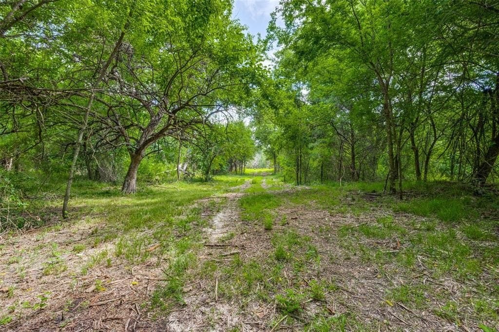 13.3 acres in Hunt County gallery image 2