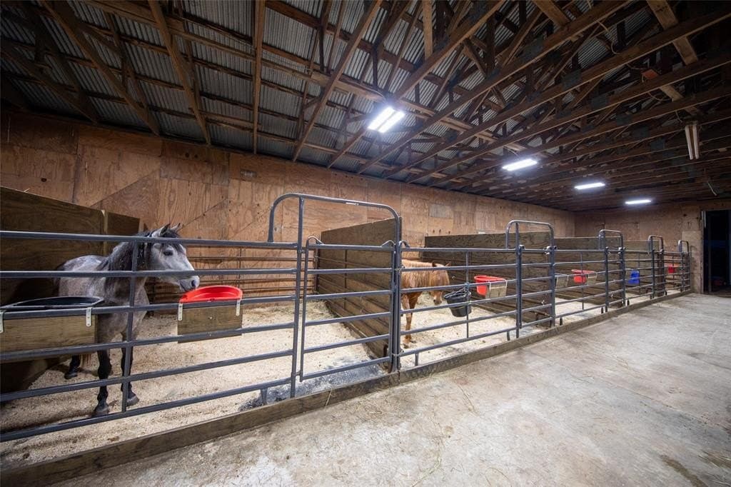 248.04 acres in Lamar County gallery image 3