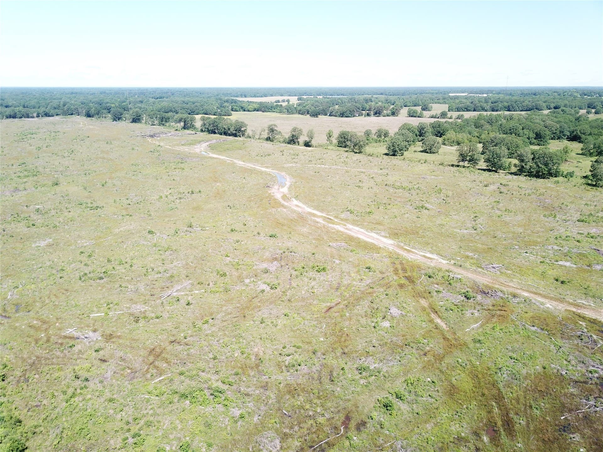 181.31 acres in Bowie County - photo 2
