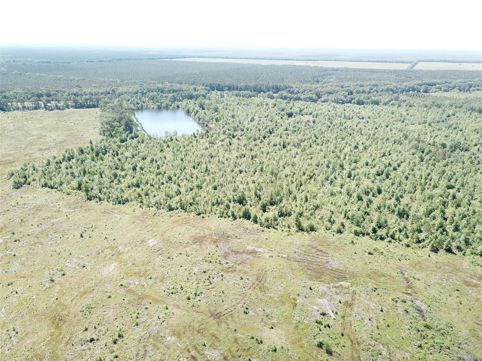 181.31 acres in Bowie County - photo 4