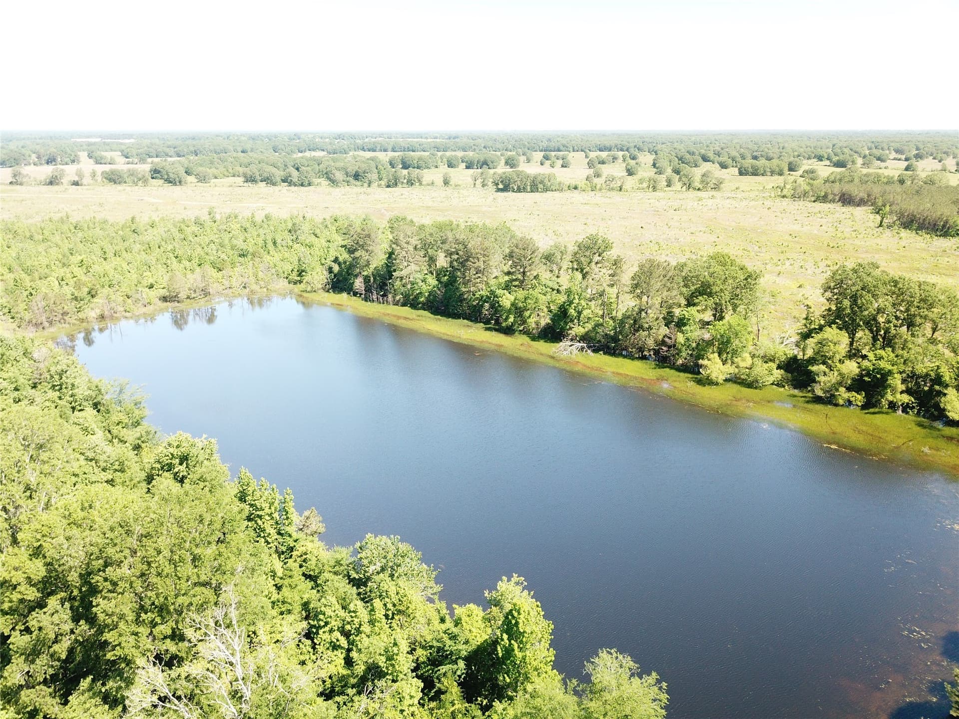 181.31 acres in Bowie County