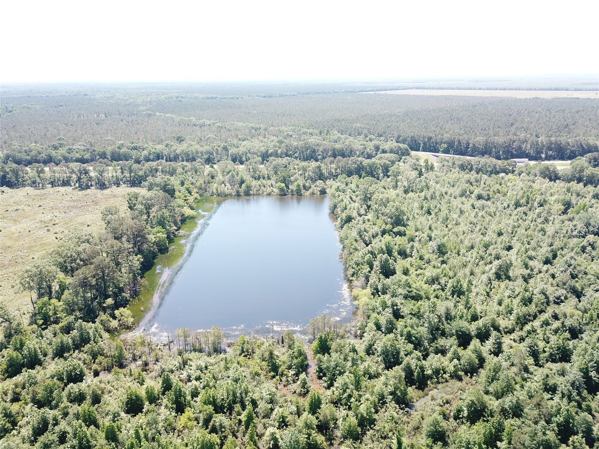 181.31 acres in Bowie County - photo 23