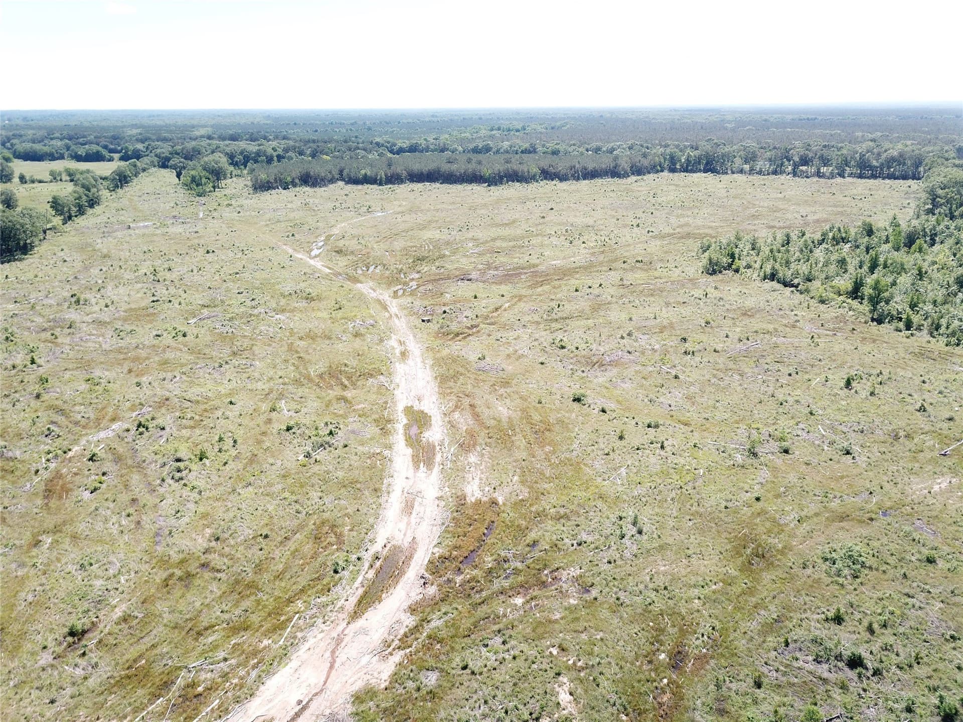 181.31 acres in Bowie County - photo 19