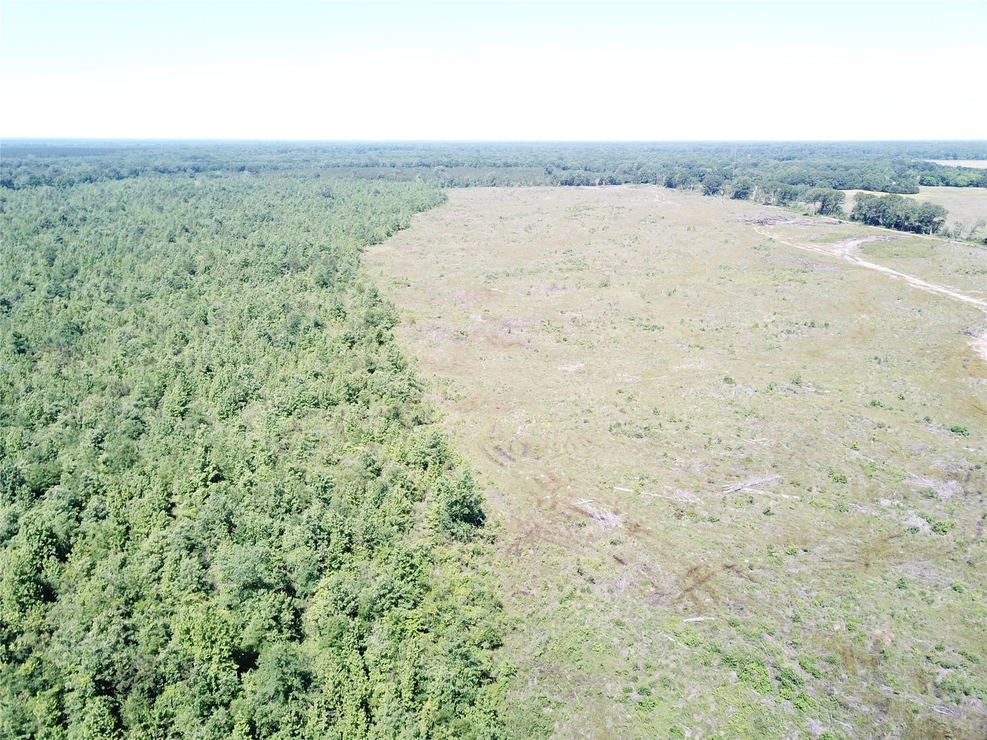 181.31 acres in Bowie County - photo 14