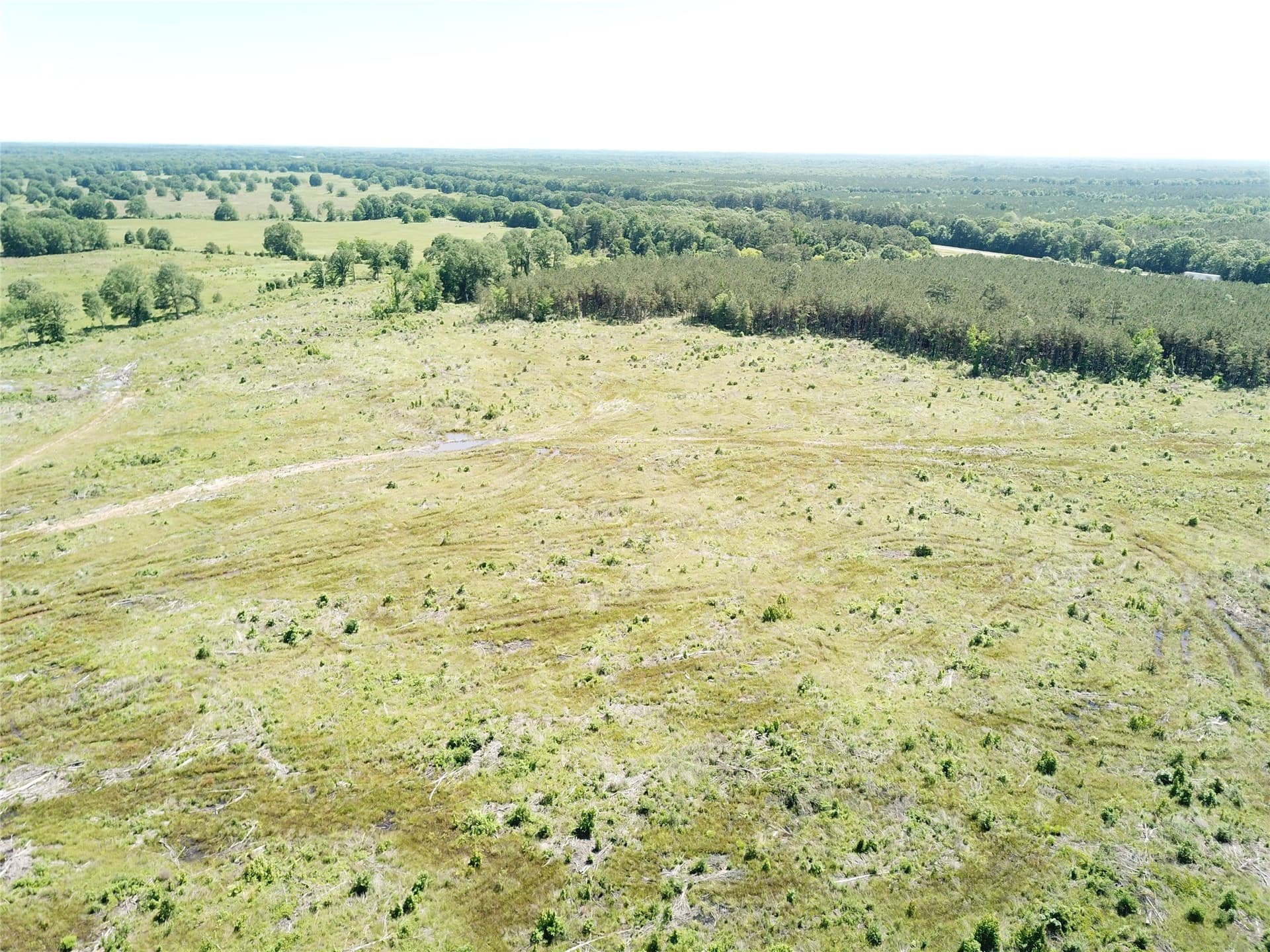 181.31 acres in Bowie County - photo 15