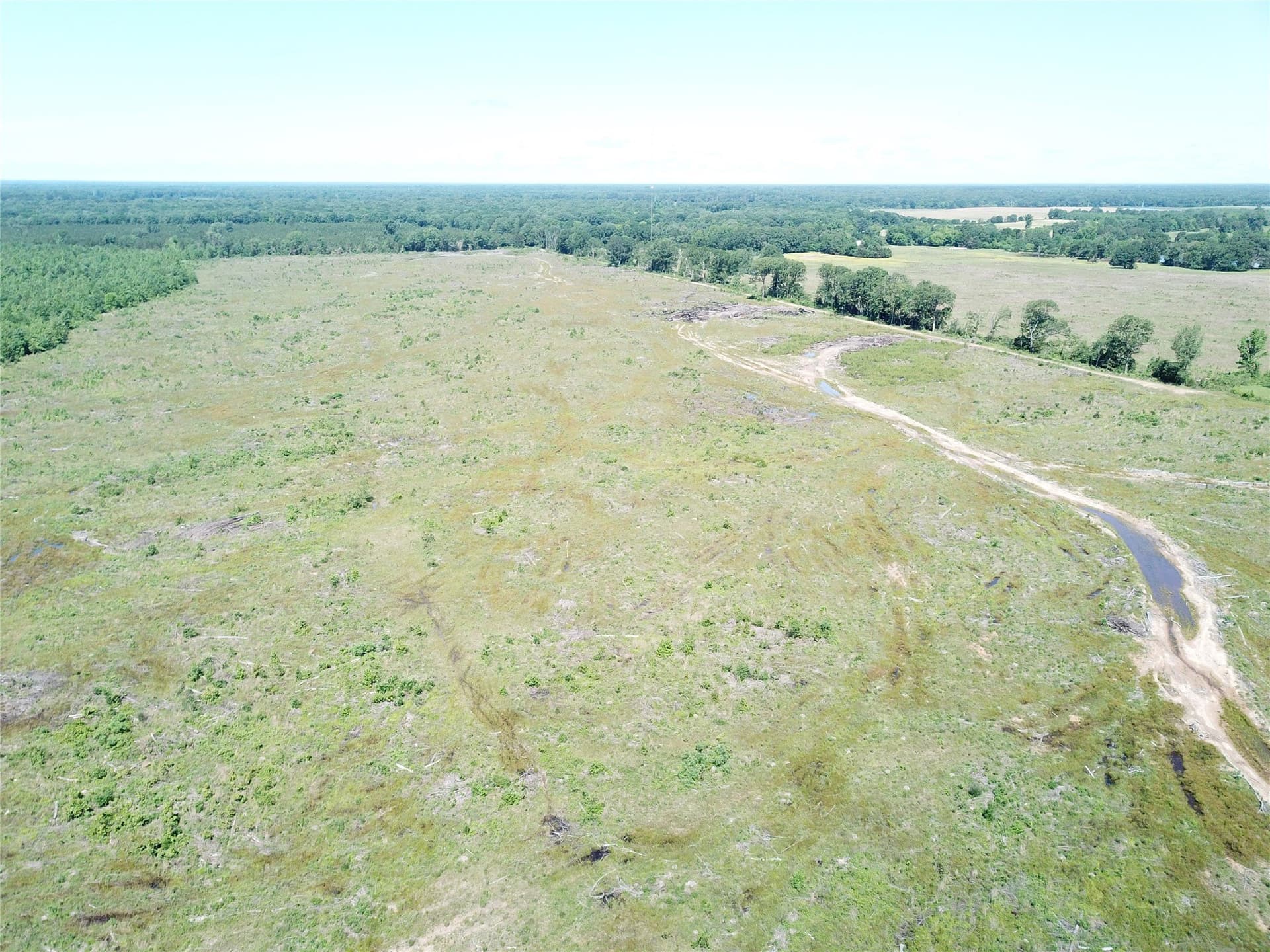 181.31 acres in Bowie County - photo 17