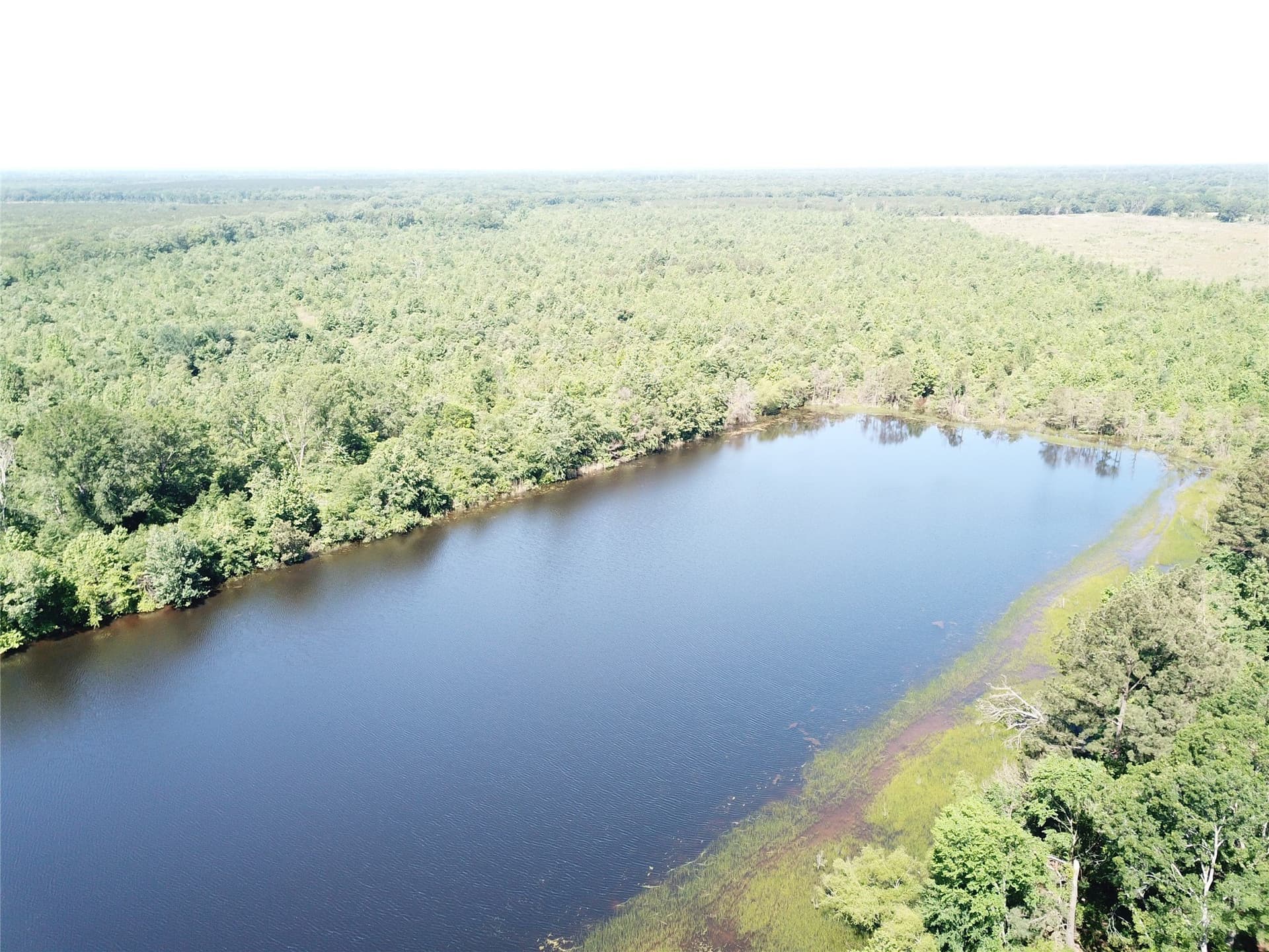181.31 acres in Bowie County - photo 11